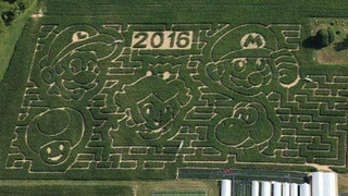 A <i>Super Mario Bros.</i> corn maze flattens the competition